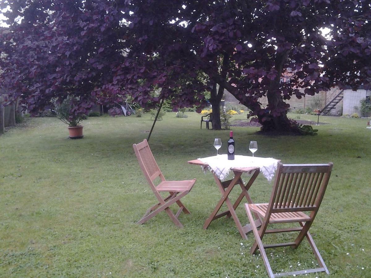 Appartement Stadtzentrum , Naehe Schloss *